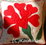 carnation